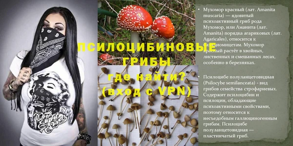 гашиш Аркадак