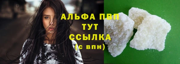 шишки Арсеньев