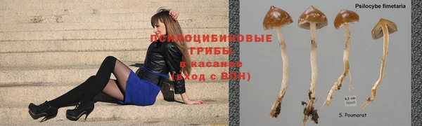 гашиш Аркадак