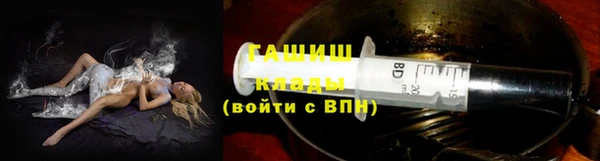шишки Арсеньев