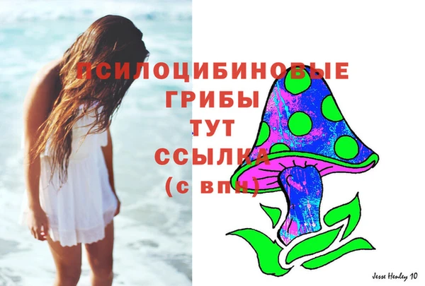 шишки Арсеньев