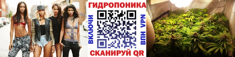 Бошки марихуана семена  Электрогорск 